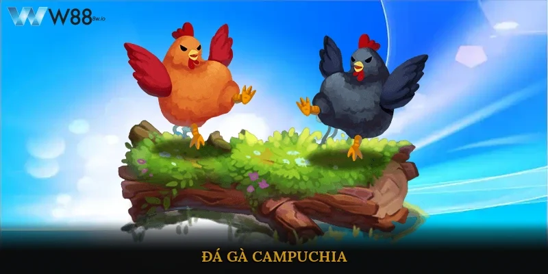 Đá Gà Campuchia