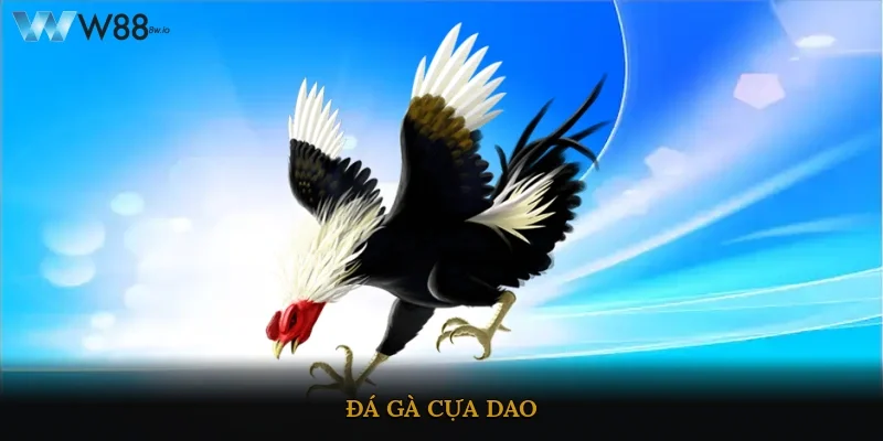 Đá Gà Cựa Dao