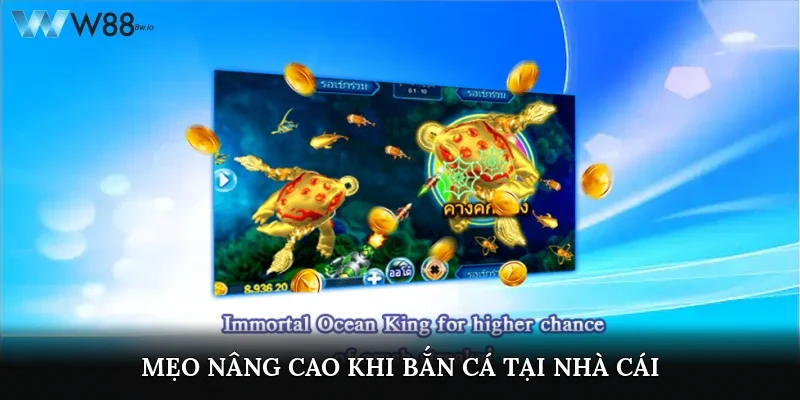 Mẹo nâng cao khi bắn cá tại nhà cái